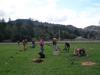 A New Orchard!